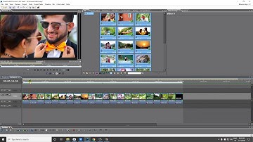 Monarch SCPRO ver 8.0 : 15.How to Edit Timeline segment with double clicking on it