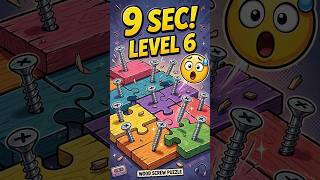 Level 6 Solved in 9 Seconds! Lofi Mood 😱 Wood Screw Puzzle