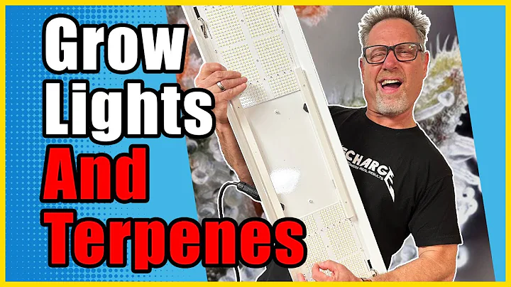 HPS vs. LED: Which Grows More Terpene-Rich Cannabis?