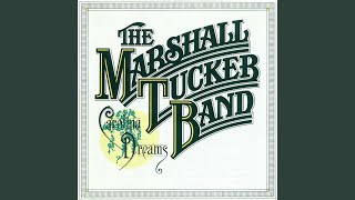 Video thumbnail of "The Marshall Tucker Band - I Should Have Never Started Lovin' You"