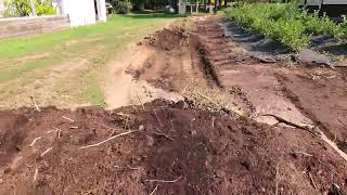 The West Garden Plot Is Taking Shape! Big Progress with Hulk & the Soil Conditioner