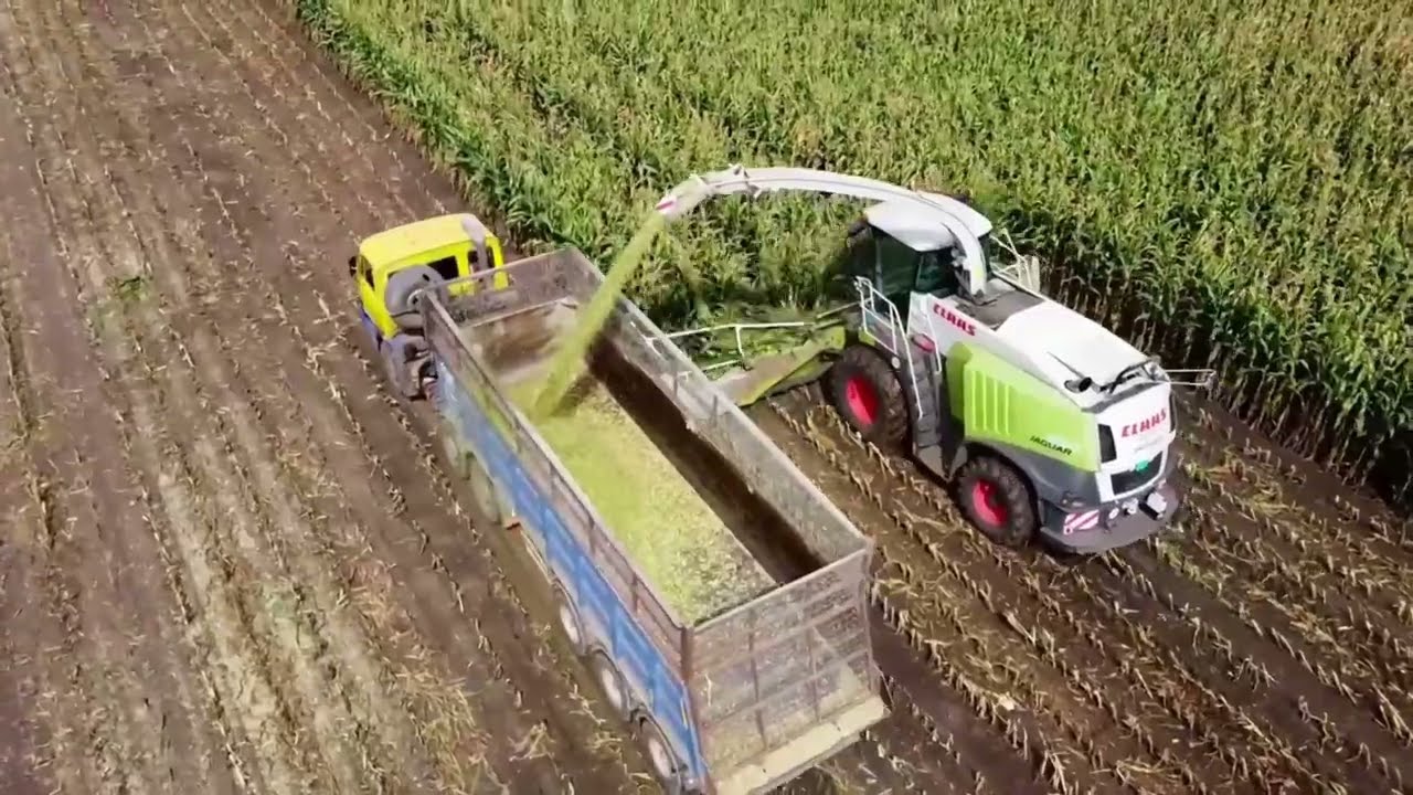 🟡 Zostrih sezóny  2023 / mlátenie / siláže /senáže / diskovanie🟡