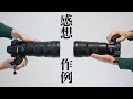 NIKKOR Z 400mm f/4.5 VR Sで超望遠生活開始・気づいた10個のこと。あと野鳥の写真見てくれ(下さい)