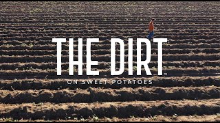 The Dirt on Sweet Potatoes