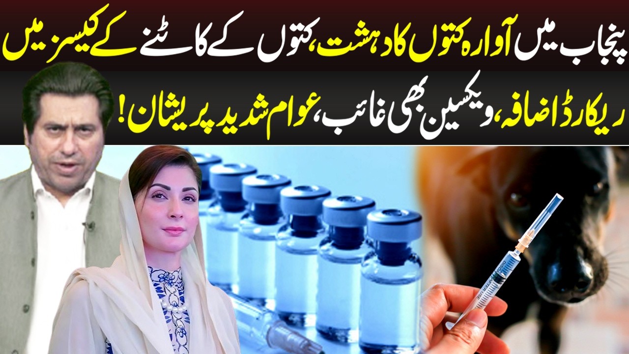 Punjab Main Kutto Kay Katnay Kay Cases Mian Izafa | News Night | 4 March 2026 | Lahore Rang