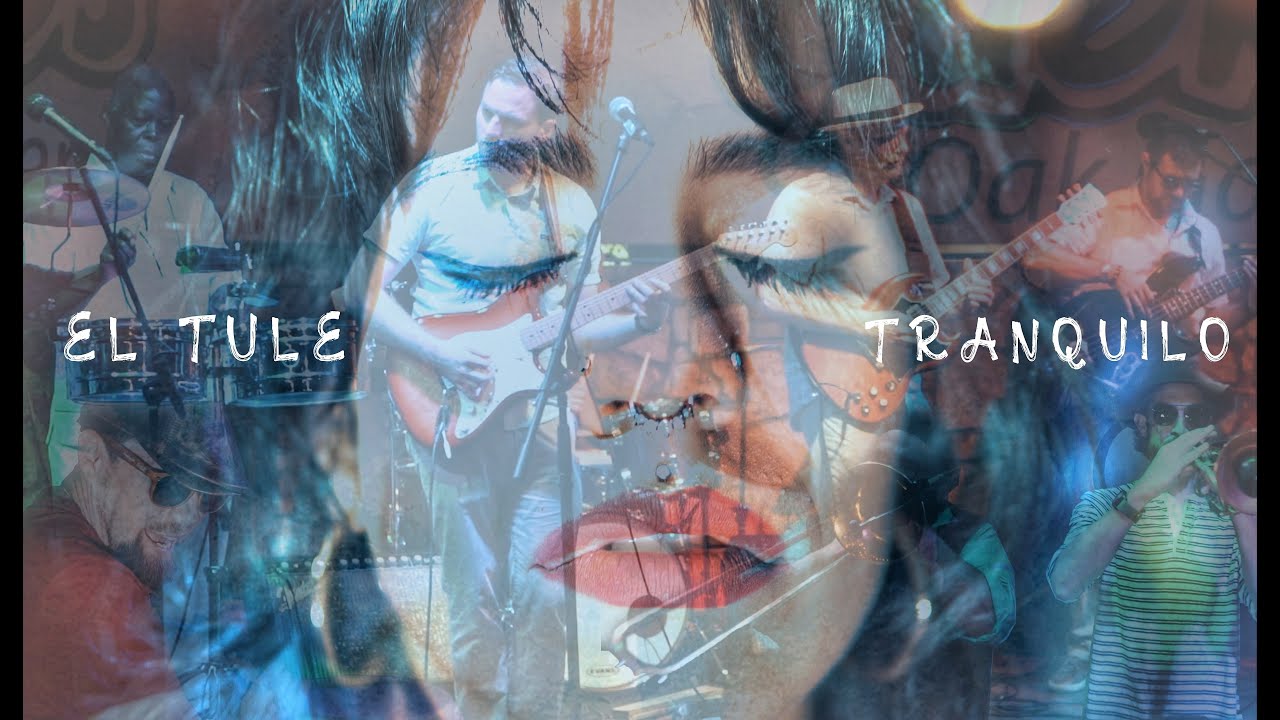 Παρακολούθηση El Tule - Tranquilo (Official Music Video) στο YouTube Παρακολούθηση El Tule - Tranquilo (Official Music Video) στο YouTube