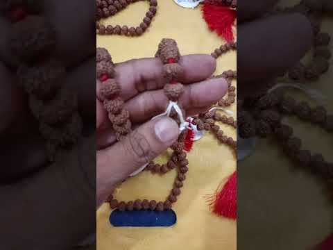 सात मुखी माला 📿 #7mukhi #7mukhirudraksha #rudraksha #rudrakshamala #jaapmala #poojavidhi