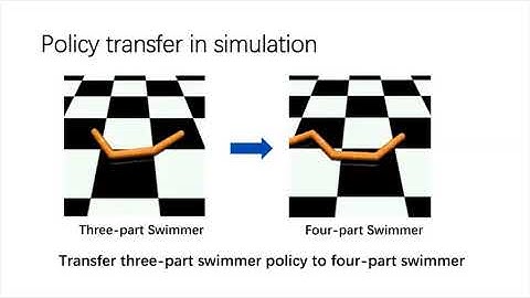 cycle dynamics video