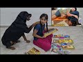 Jerry's Diwali without bhaiya|| happy diwali|| emotional dog video,