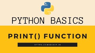 Celebrity Python print() Function Net Worth