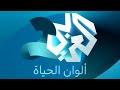 New Channel Identity Bumpers For Al Araby 2 Palestine 2026 Real And Rare MasoudWantsRarities 