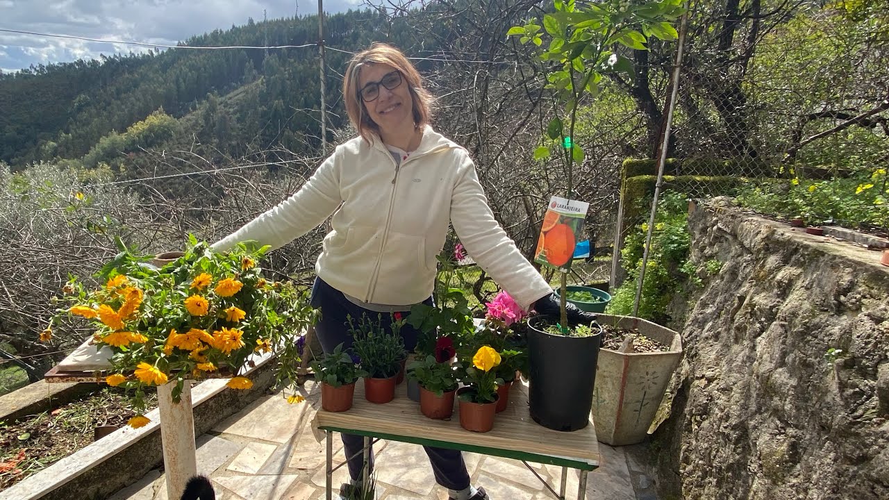 Chegou a Primavera! Novas plantações + acabei a cozinha de baixo! | vlog no campo 🏡