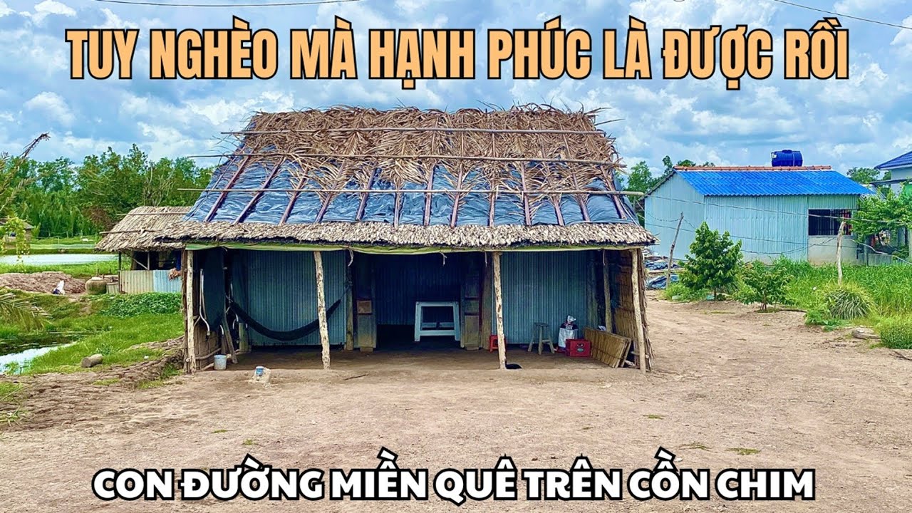 Đường miền quê Cồn Chim với những căn nhà ký ức tuổi thơ ngày xưa