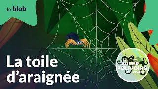 La toile d’araignée, à toute épreuve | Les super-pouvoirs du vivant