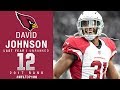 12 david johnson rb cardinals  top 100 players of 2017  nfl