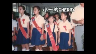 成長MV