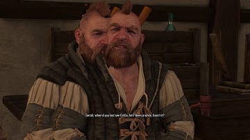 The Witcher 3: Wild Hunt graphics glitch