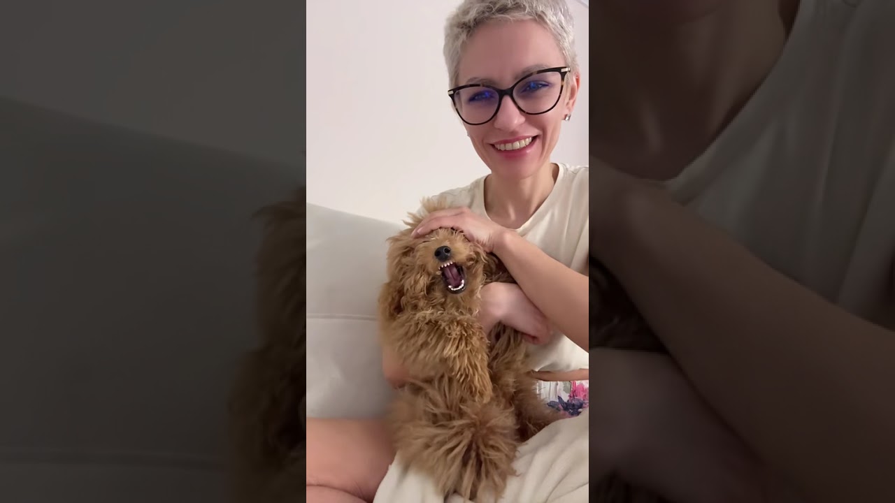 15 января 2026 г.