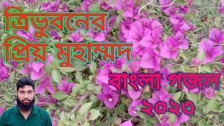 Tri Bhuvana Priya Muhammad ত্রিভুবনের প্রিয় মুহাম্মদ । Nazrul Geeti Islamic Song by Bd Lover Younus