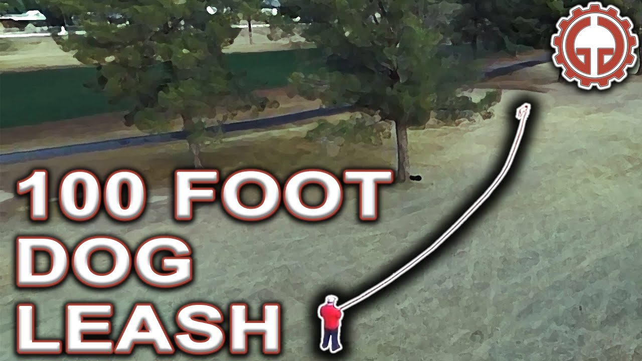 100 foot leash