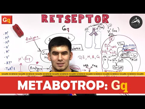 Video: Reseptorlar dəridədirmi?