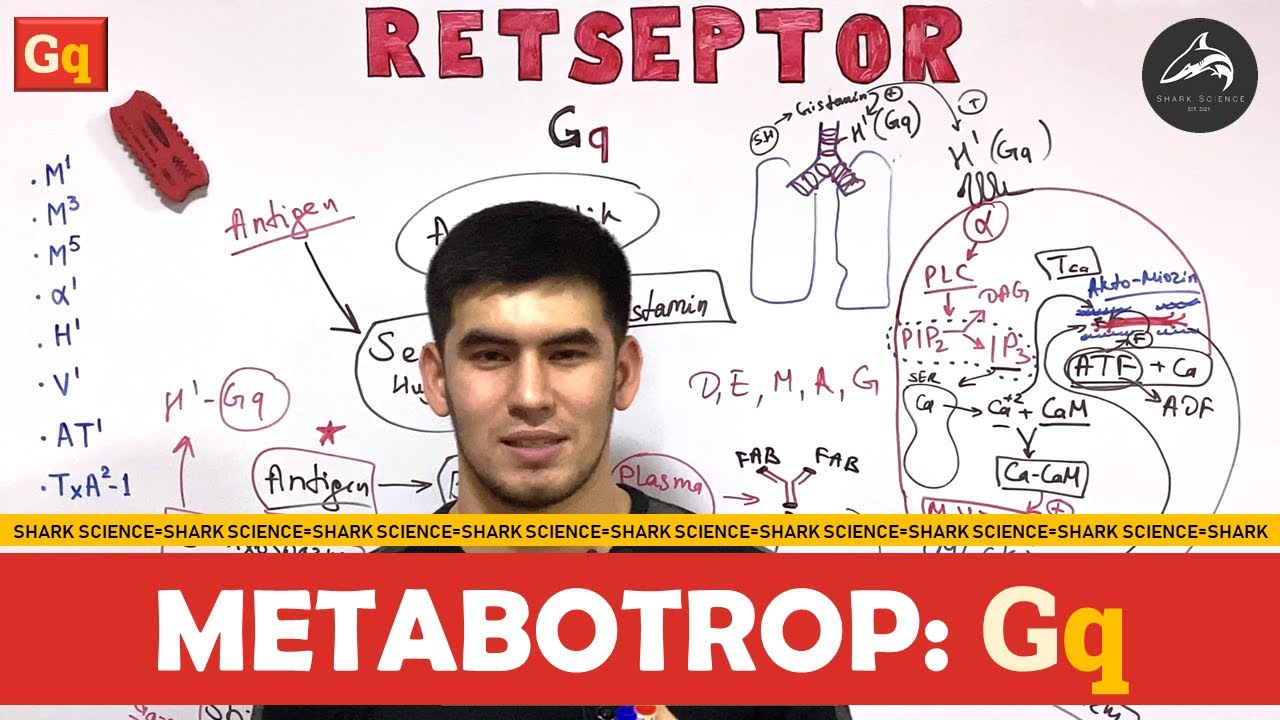 = 𝐌𝐄𝐓𝐀𝐁𝐎𝐓𝐑𝐎𝐏 𝐑𝐞𝐭𝐬𝐞𝐩𝐭𝐨𝐫𝐥𝐚𝐫 : 𝐆𝐪 =