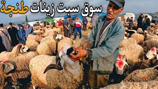 353| أثمنة عيد الأضحى من سبت زينات طنجة بتاريخ 02\05\2026 +آخر مستجدات سوق الحولي سيدي دريس الحرارين
