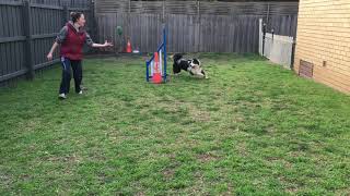 Lap Turn Foundations
