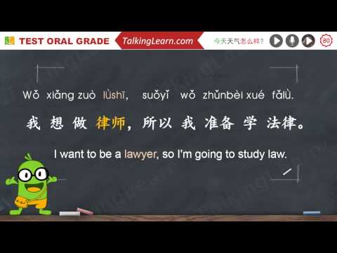 Learn To Speak Chinese Word And Sentence HSK Level 4 Lawyer 