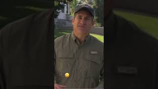 Gecko Facts 1  Some Geckos Have Some Incredible Camouflage geico geicogecko natgeo