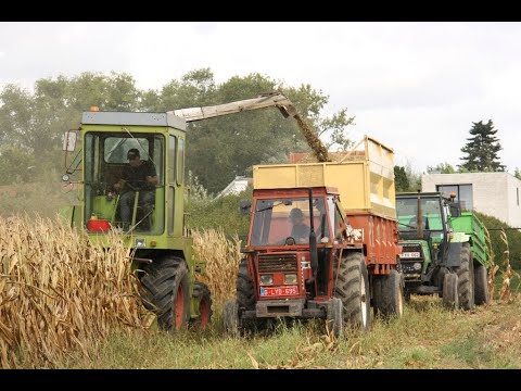 Stap voor stap naar je ideale zelf! 🚀