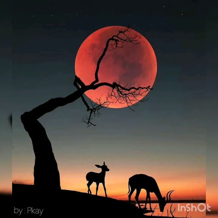 Igama lakho libhaliwe