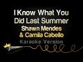 Shawn Mendes & Camila Cabello - I Know What You Did Last Summer (Karaoke Version)