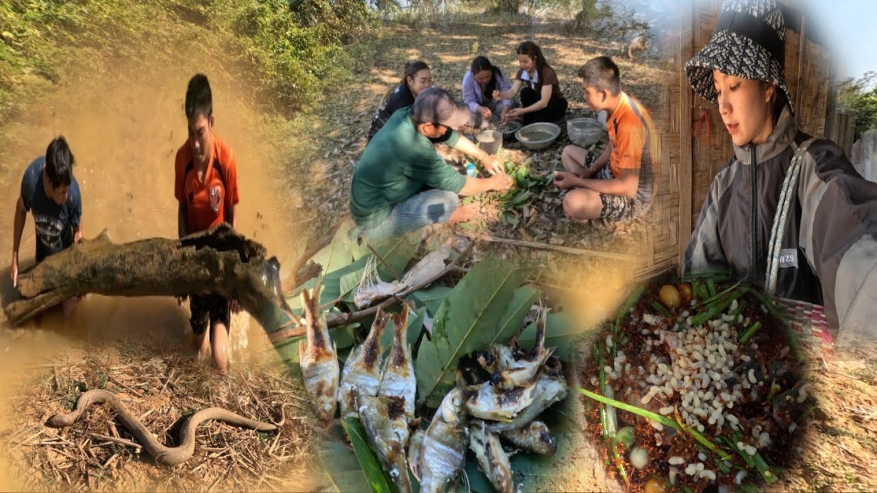 แกงปลาดุกใส่ไข่มดแดงอร่อยมาก#สาวลาว #ชนบทลาว 11 มีนาคม ค.ศ. 2026