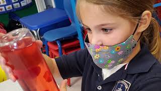 Apply to St. Anthony Preschool - English