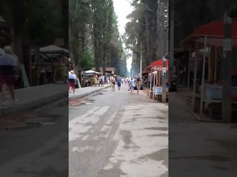 Кипарисовая аллея,Пицунда ,лето