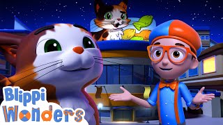 Why do cats have whiskers | Blippi Wonders | Science and Nature Cartoons For Kids| Moonbug Kids