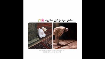 رعد محمد الكردي 🌝💙 اجمل حالات واتس اب دينية سورة يس