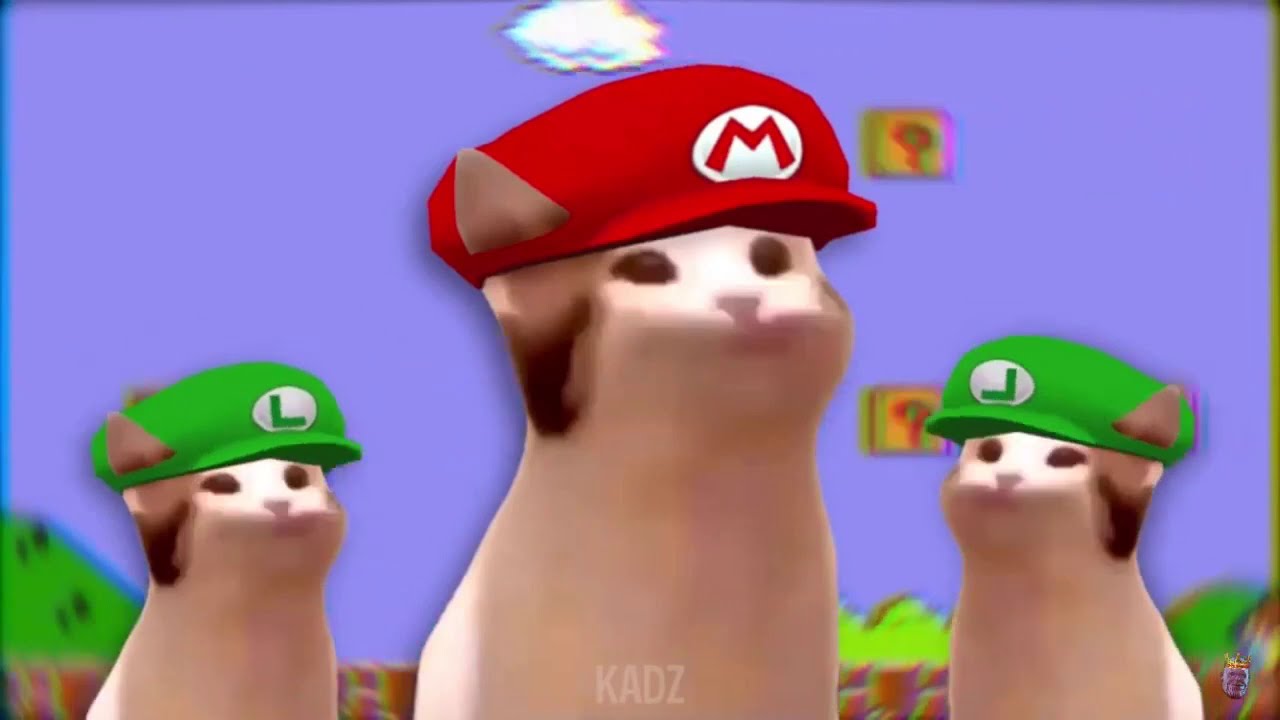 Pop Cat Meme Compilation 4