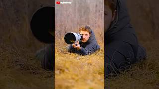 #Wildvideo #nature #animals #videography #beautiful #ytshorts #trending #viral
