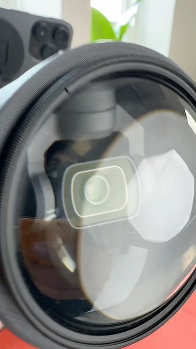 Real macro lens on the #djiosmopocket3