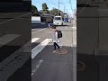 Como as Crianças no Japão Atravessam a Rua 🛑