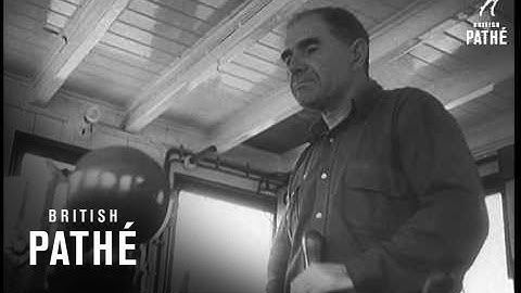 Logs Go By Barge (1959)