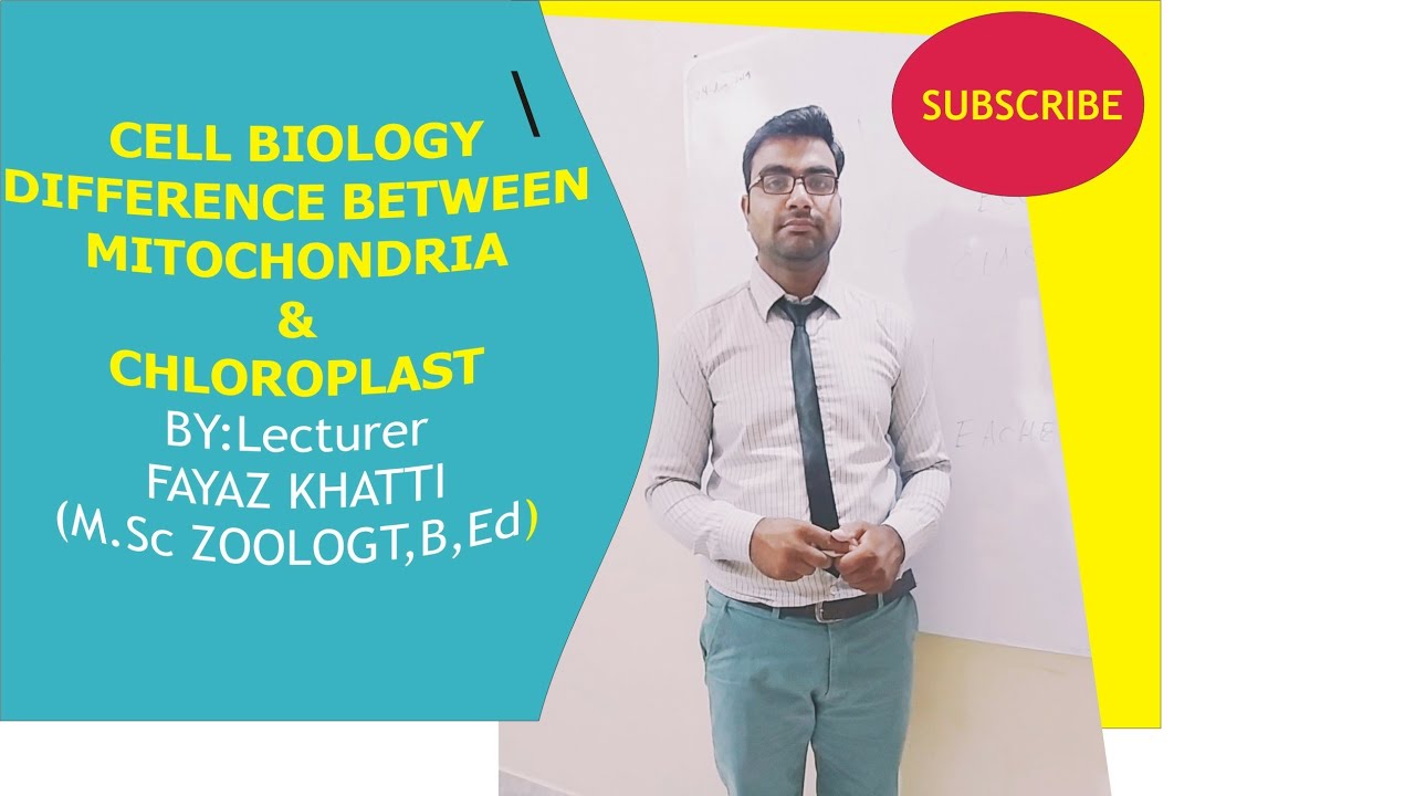 Difference between chloroplast and Mitochondria (NEET BIOLOGY) - YouTube