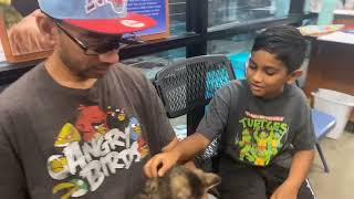Cute Kittens at PetSmart Adoption Center. 2023