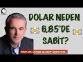 Dolar Neden Baskılanıyor? Kim Kazanacak / Prof. Dr. Veysel ULUSOY’dan Merak Edilen Soruların Cevabı