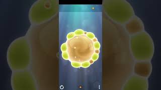 How to play Tiny Bubbles | Level 1-5 |  Soothing game screenshot 5