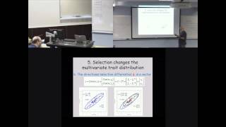 Selection on a single and multiple traits (2014)