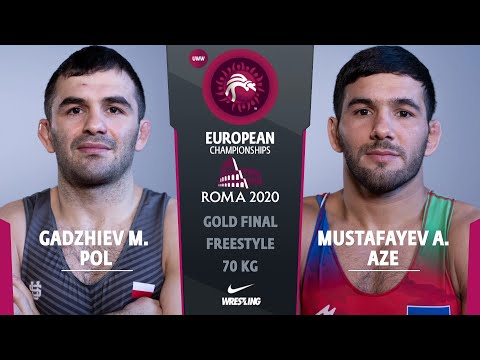 GOLD FS -