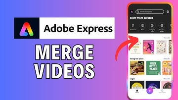 How to Merge Videos in Adobe Express 2024?